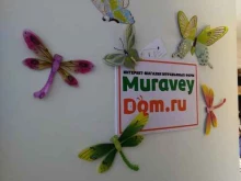 Muraveydom.ru, Молодогвардейская улица, 57 ст12 