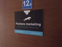 агентство контекстной рекламы Pantera marketing в Пскове