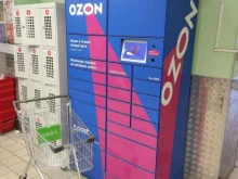 автоматизированный пункт выдачи Ozon box в Копейске