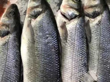 Рыба / Морепродукты Рыбная Империя в Благовещенске