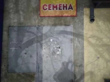 Семена / Посадочный материал Магазин семян в Шелехове