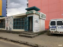 Сувенирные композиции Салон цветов в Нижнем Новгороде
