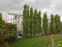 транспортная компания Абарис в Калининграде