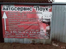 автосервис Паук в Щекино