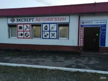 автосервис и магазин автозапчастей Эксперт в Новочебоксарске