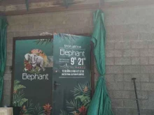 база цветов Elephant в Жуковском