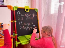 Общественные организации Молодая гвардия Единой России в Волгограде