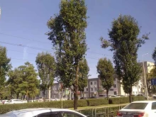 торговая компания Rusimex в Краснодаре