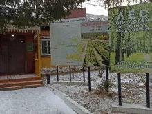 Организации природоохраны Емельяновское лесничество в Красноярске