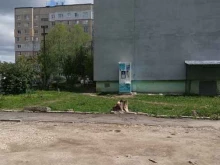 Айсберг, Куйбышева, 32/1 