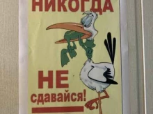 Сервис-центр помощи мигрантам, Республики, 55 