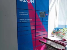 Постаматы Ozon в Барнауле