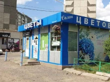 Сувенирные композиции Магазин цветов в Красноярске