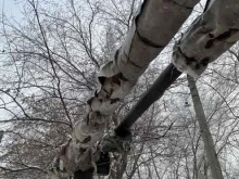 сбытовая компания Бийскэнерго в Бийске