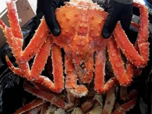 Рыба / Морепродукты Море вкуса в Благовещенске