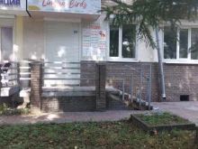 студия иностранных языков Lingua Birds в Нижнем Новгороде