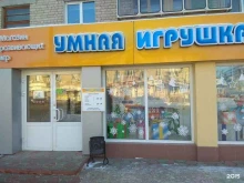 магазин развивающих игр Умная игрушка в Дзержинске