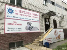ветеринарная клиника Перспектива в Нижнем Новгороде