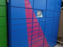 автоматизированный пункт выдачи Ozon box в Набережных Челнах