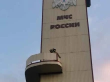 судебно-экспертное учреждение федеральной противопожарной службы Испытательная пожарная лаборатория по Рязанской области в Рязани