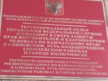 Федеральные службы Территориальный отдел Управления Федеральной службы по надзору в сфере защиты прав потребителей и благополучия человека по Камчатскому краю в Елизовском, Усть-Большерецком, Соболевском районах и городе Вилючинске в Елизово