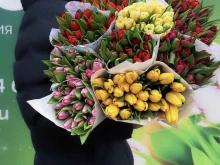 цветочная компания Лето в Волжском
