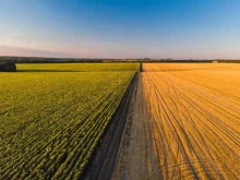 компания SmartAgro в Тамбове