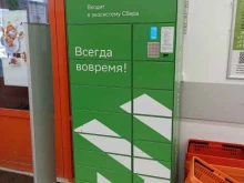 постамат СберЛогистика в Зеленодольске