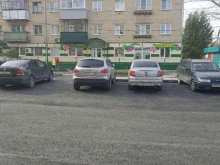 салон цветов Оазис в Пласте