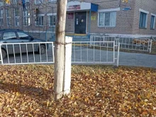 Спортивные школы ДЮСШ в Еманжелинске