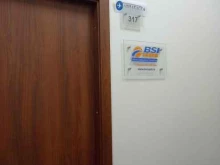 Bsi Group, Большая Конюшенная, 27 