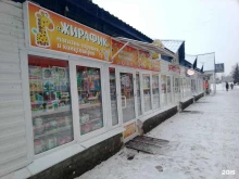 магазин Жирафик в Пскове