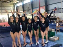 спортивная школа Dag gymnastics в Махачкале