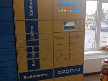 автоматизированный пункт выдачи Ozon box в Домодедово