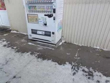 Алкогольные напитки Автомат с горячими и холодными напитками в Ангарске