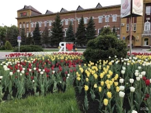 Администрация Энгельсского муниципального района, площадь Ленина, 30 
