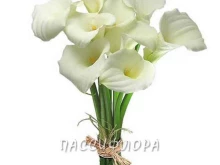 Забыл цветы, Седова, 126 