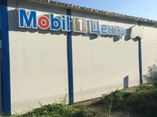 авторизованный сервисный центр Mobil 1 центр в Одинцово