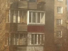 Департамент по охране животного мира Свердловской области, Черных, 33 