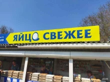 Яйцо Магазин по продаже яиц в Астрахани