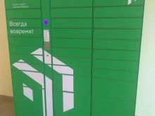 постамат СберЛогистика в Новомосковске