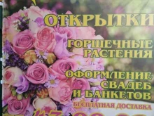 магазин цветов Афина в Астрахани