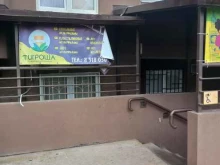 студия мультипликации Тигроша в Краснодаре