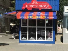 киоск быстрого питания Шаурмания в Камышине