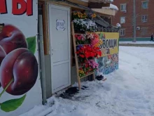 Магазин по продаже фруктов и овощей, Весенняя, 8Б/1 