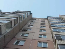 компания ПрофБукер в Красноярске