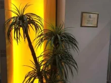 студия загара Тропикана в Уфе