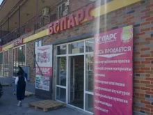 магазин лакокрасочных материалов Боларс в Грозном