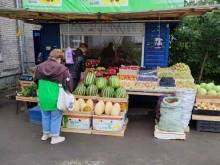 Киоск по продаже овощей и фруктов, Владимировская, 5а киоск 