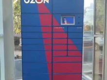 автоматизированный пункт выдачи Ozon box в Голицыно